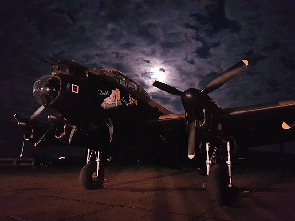 just jane.jpg