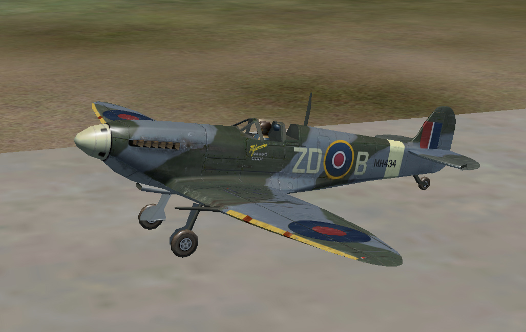 Spit on Runway.jpg