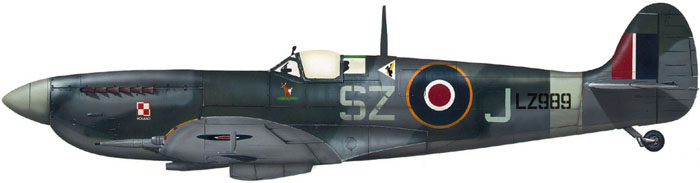 SZ-J get info.jpg