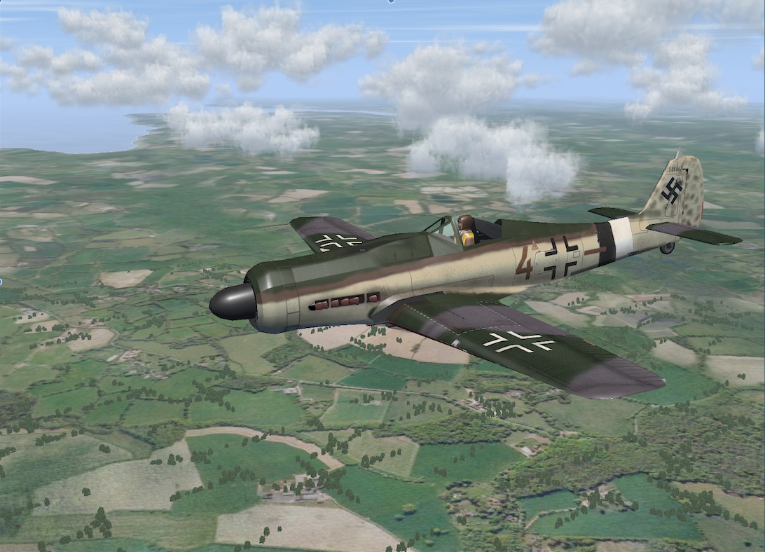 FW190 Brown4_a_med.jpg