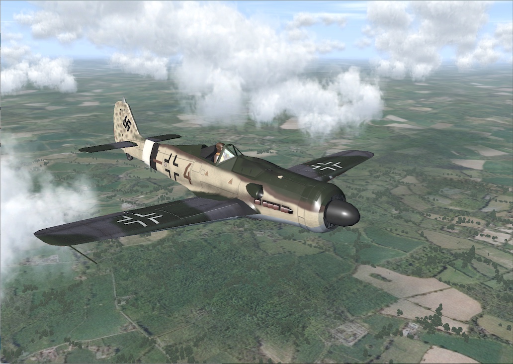 FW190_d_2_med.jpg